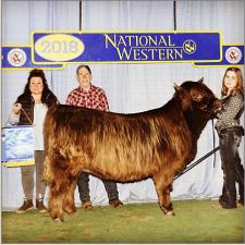 2018 National Western Stock Show